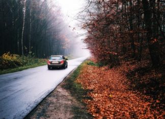 So fahren Sie sicher durch den Herbst Tipps für das Autofahren bei Nebel, Dunkelheit und Regen